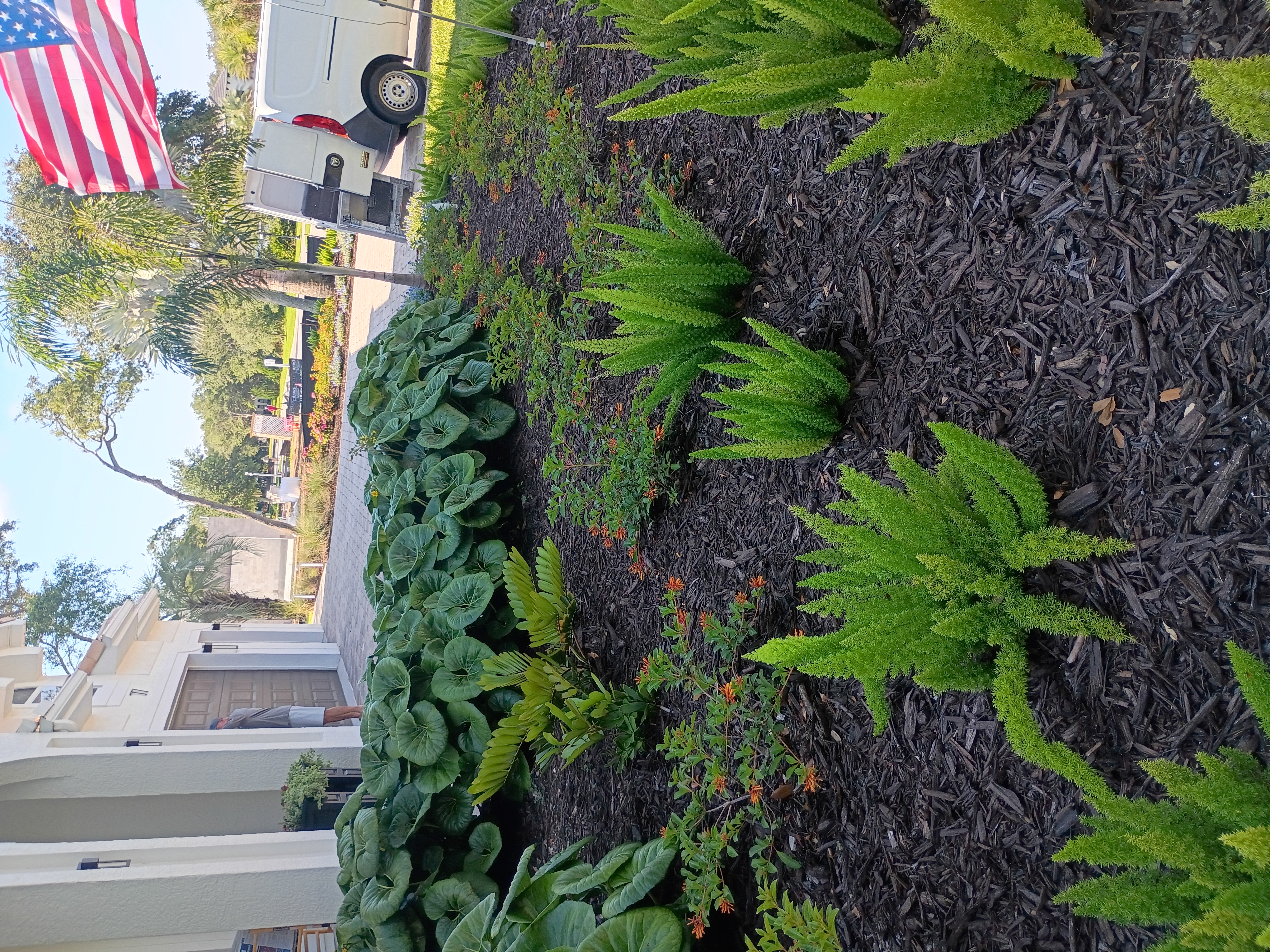 Full backyard transformation